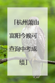 杭州萧山富阳今晚可查询中考成绩